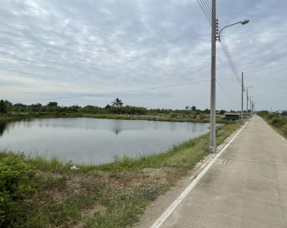 ขายที่ดิน 3 ไร่  ถนนวัดศรีวารีน้อย ลาดกระบัง 54 บางนา-ตราด กม18