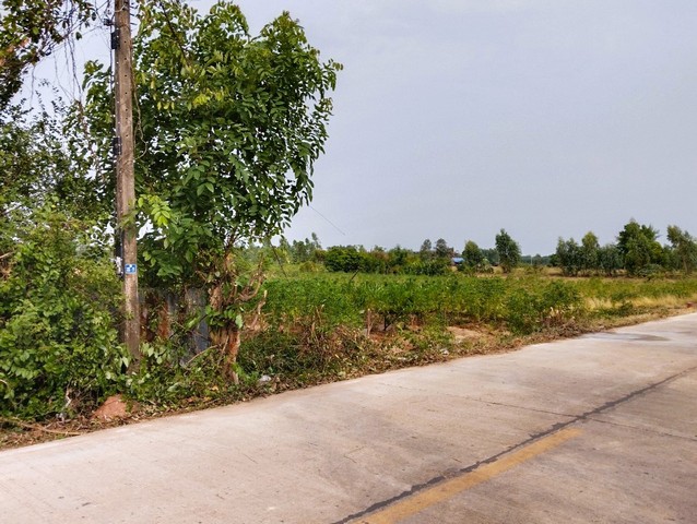 ขาย ที่ดิน ต.ถ้ำกระต่ายทอง อ.พรานกระต่าย จ.กำแพงเพชร   PAP1-0224