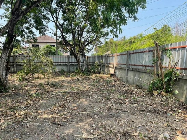 ที่ดินทำเลเกรดA  ถมแล้ว ใกล้โอกะจู๋ สันทราย         