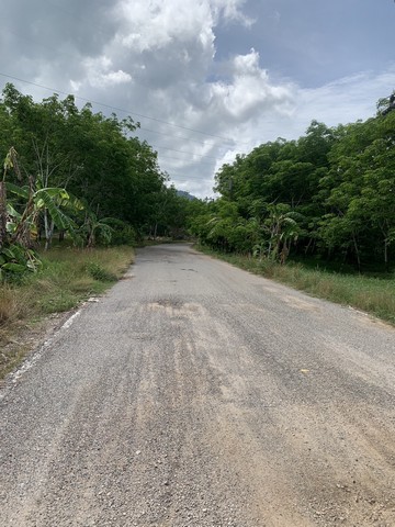 ขายด่วนที่ดินสวย เนื้อที่ 300 ไร่  อำเภอทองผาภูมิ จังหวัดกาญจนบุรี