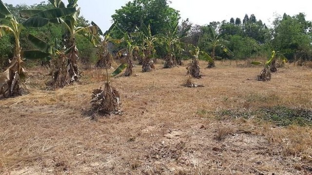 ขายที่ดินถมแล้ว  120 ตารางวา เทศบาลนครขอนแก่น อำเภอเมืองขอนแก่น จังหวัดขอนแก่น