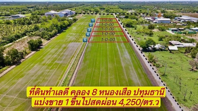 ห้ามพลาดที่ดินทำเลดี คลอง 8(ซอยบึงบอน19) หนองเสือ ปทุมธานี เงินสด-เงินผ่อน