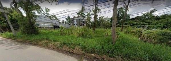 ขายที่ดินตรว.ละ 43,000 บาท ที่ดินเปล่า เนื้อที่ 1 ไร่เศษ สันกลาง สันกำแพง ห่างจาก ใกล้มหาวิทยาลัยพายัพ