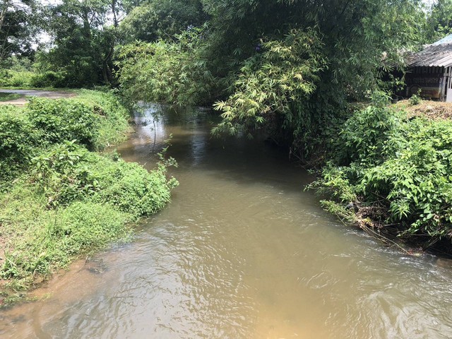 ขายด่วนที่เปล่า จังหวัดนครศรีธรรมราช อ.ทุ่งสง ต.หนองหงส์