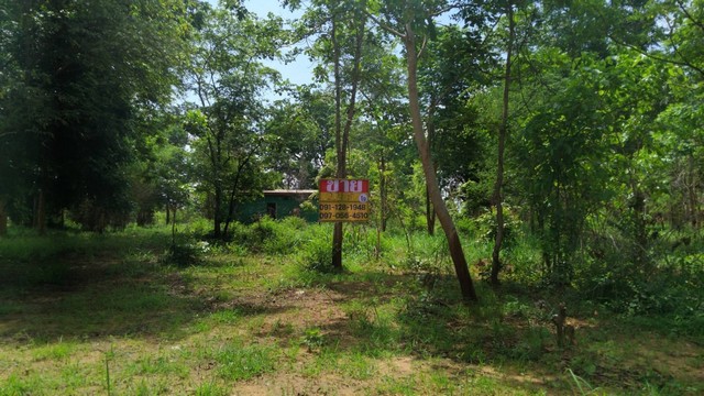 ขายด่วน ที่ดิน 221 ตร.ว ใกล้รร.นาย่า ปาร์ควิว ขอนแก่น 