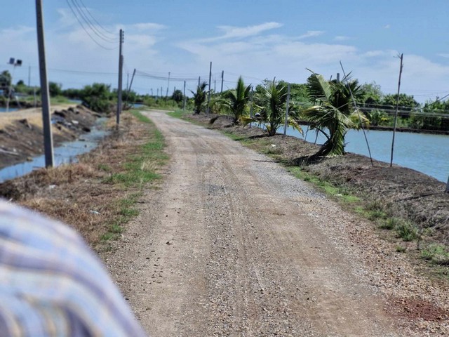 ขายบ่อกุ้ง70ไร่ราคาไร่ละ 6แสน5 เขตเมืองนครปฐม 70 ไร่