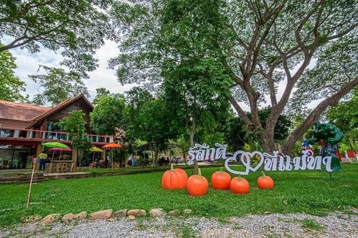 Resort for sale with restaurant garden in Lamphun Province on land size 5-3-15.2 rai, surrounded by nature. View of mountains and rice fields