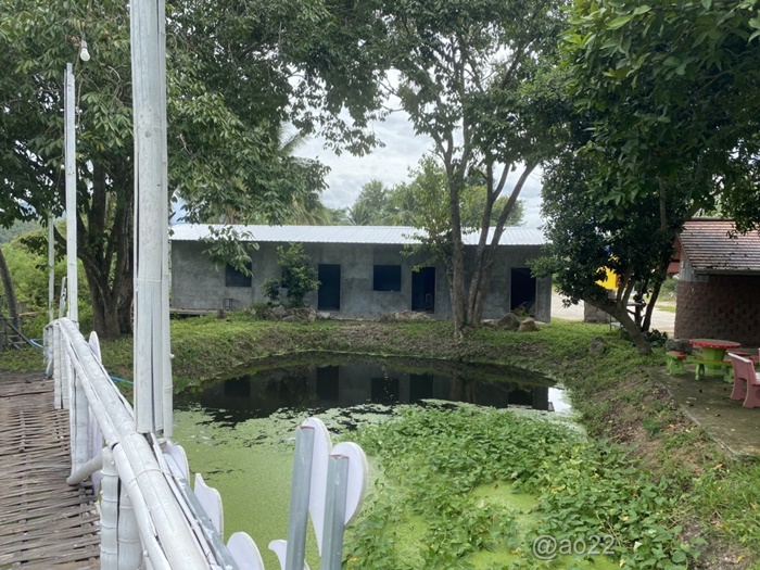 Resort for sale with restaurant garden in Lamphun Province on land size 5-3-15.2 rai, surrounded by nature. View of mountains and rice fields