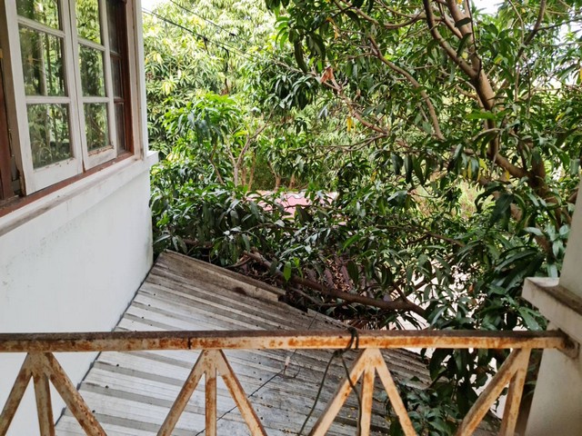 ทรัพย์มีค่าภูมิใจผู้ซื้อผู้หาราคาโดนๆ ข้อเสนอสุดพิเศษกับทีมการขายเน้นโทรตรงนะคะ  ขายอสังหาริมทรัพย์  ขายบ้านเดี่ยว 2 ชั้น 90 ตร.วา บ ต.บ้านใหม่  อ.บางใหญ่ จ.นนทบุรี ขายสด 2.9 ล้านบาท  เช่า 15,000 บาท/เดือน 