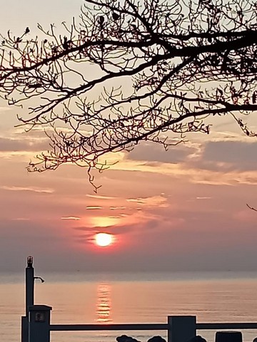 ทรัพย์มีค่าภูมิใจผู้ซื้อผู้หาราคาโดนๆ   ขายที่ใกล้ทะเล ต.สะพลี อ.ปะทิว จ.ชุมพร ราคาคุยได้ สนใจโทรตรง 096-882-1857