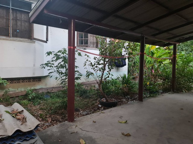 ทรัพย์มีค่าภูมิใจผู้ซื้อผู้หาราคาโดนๆ   ขายบ้านปูน 1 ชั้น ต.บางเลน อ.บางใหญ่ 100 วา แหล่งเจริญ  นนทบุรี เนื้อที่ ราคาคุยได้ค่ะ