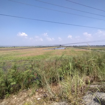 ที่ดินเปล่า เนื้อที่ 6-3-21 ไร่ ตำบลพุทเลา อำเภอบางปะหัน จ.พระนครศรีอยุธยา