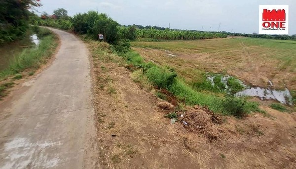 ขายที่นาแปลงสวยตำบลหัวไผ่เมืองอ่างทองราคาดีสุดในย่านนี้ ถูกมากๆ