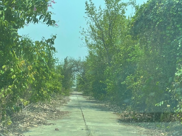 ขายที่ดิน ตำบลบ้านแม อำเภอสันป่าตอง จังหวัดเชียงใหม่ ที่ดินแปลงสวยราคาถูก   