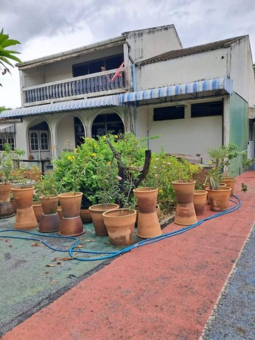 ขายบ้านพร้อมที่ดินใจกลางเมืองแปดริ้ว เนื้อที่ 252 ตารางวา หน้าเมืองซอย 2 อำเภอเมือง จังหวัดฉะเชิงเทรา