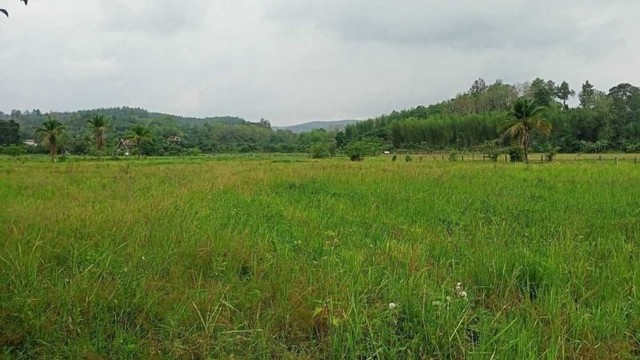 ที่ดินสวย บรรยายกาศดี วิวภูเขา โซนแม่ริมใต้             