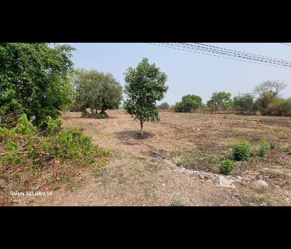 ด่วนขายที่ดินเมืองขอนแก่น เหล่านาดี ถนน4เลน เชื่อมต่อถนนทุกสายถนนมิตรภาพ ถนนเหล่านาดี ถนนเลี่ยงเมือง