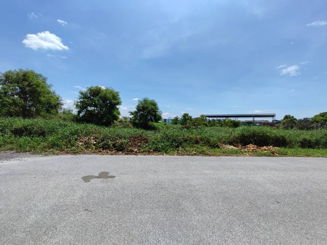 ให้เช่าที่ดินเปล่าเฉลิมพระเกียรติ์ 48 แยก 2 เนื้อที่ 413 ตรว 1 ไร่ 13 ตรว  พัฒนาการ 