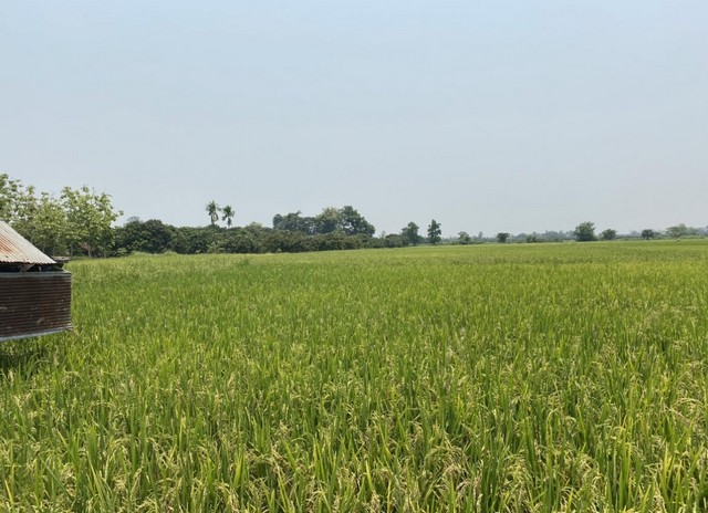  ขายที่ดิน ที่ดิน 13 ไร่  ตำบลขุนคง อำเภอหางดง จังหวัดเชียงใหม่ 