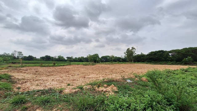 ขายที่ดิน 25-1-25 ไร่ ใกล้มะลิวัลย์ ห่างโรงงานไข่ซุปเปอร์เอ้กซ์ 1 กม.  บ้านฝาง จ.ขอนแก่น  ZE487