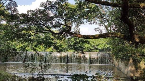 ที่ดินติดน้ำ ขายยกแปลง 6.6 ล้าน เนื้อที่ 3-1-27 ตรว. แม่โป่ง ดอยสะเก็ด พร้อมรั้ว ถนนคอนกรีตฯ ติดฝายน้ำล้น และลำเหมืองสาธารณะตลอดแนว