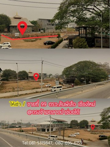 ให้เช่าหรือขายที่ 99 ตรว. ต.สันผีเสื้อ อ.เมืองเชียงใหม่ ตรงข้ามตลาดป่าข่อยใต้ เขตชุมชน เหมาะทำการค้าขาย