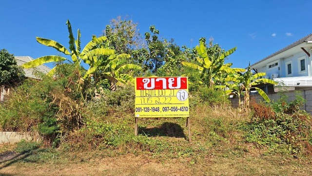 ขายด่วนที่ดิน 100 ตร.ว. ใกล้บึงหนองโคตร ต.บ้านเป็ด อ.เมือง ขอนแก่น   ZE593