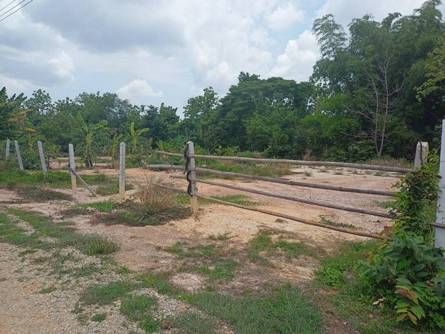 ขายที่ดินถมแล้ว หน้ามหาลัยราชภัฏลำปาง อำเภอเมืองลำปาง จังหวัดลำปาง ขนาด 199 ตารางวา