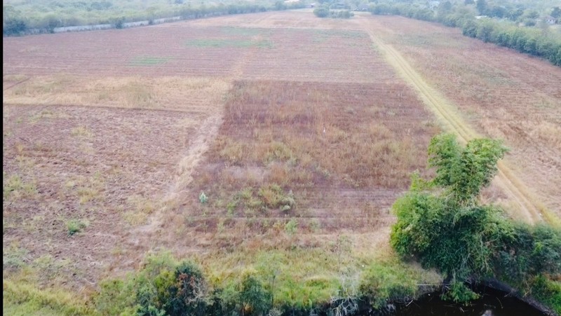 ที่ดิน 1 แปลง ขนาด 40-2-58 ไร่ ปากช่อง นครราชสีมา ติดถนน ซอยตะเคียนทอง ใกล้บ้านสวนต้นรัก