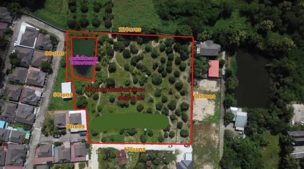 ขายที่ดินแปลงสวย ทำเลดี ใกล้เมือง สันกลาง สันกำแพง เดินทางสะดวกสบาย บรรยากาศดี เงียบสงบ ซื้อสร้างบ้านขายหรืออยู่อาศัยได้ เส้นสันกำแพงสายเก่า