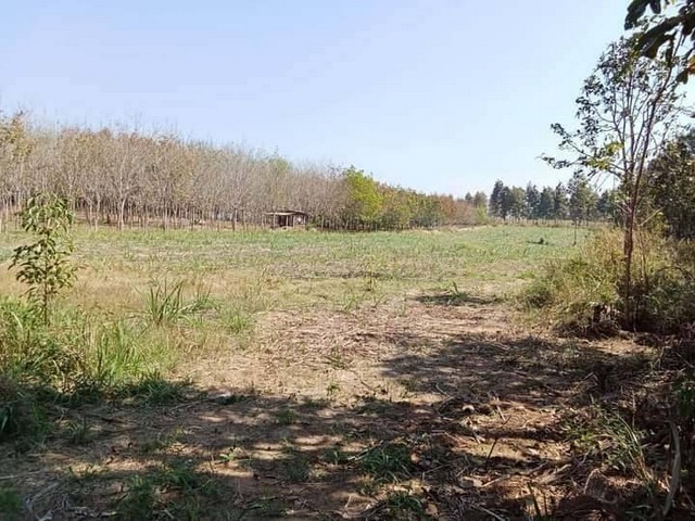 ขายที่ดินโฉนด 6ไร่ 1งาน 36 ตารางวา อยู่หลังเทศบาล ตำบลเขาแก้ว อำเภอเชียงคาน จังหวัดเลย 