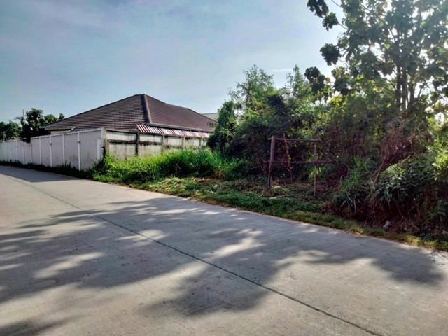 ขาย ที่ดิน ต.หนองปรือ อ.บางละมุง จ.ชลบุรี   PAP5-0100 