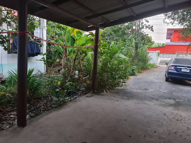 โปรจุกจุกรับกลางปีงูใหญ่ 2567   ขายบ้านปูน 1 ชั้น ต.บางเลน อ.บางใหญ่ 100 วา แหล่งเจริญ  นนทบุรี เนื้อที่ ราคาคุยได้ค่ะ