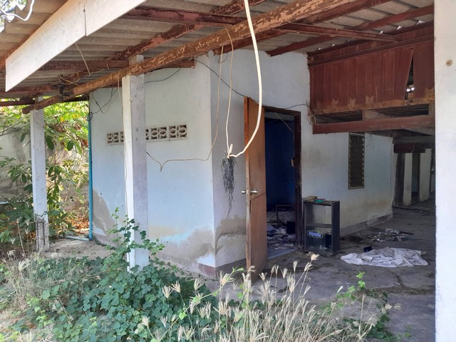 โปรจุกจุกรับกลางปีงูใหญ่ 2567  ขายบ้านเดี่ยว 116 ตาราวา  ราคากันเอง  โทร  0968821857