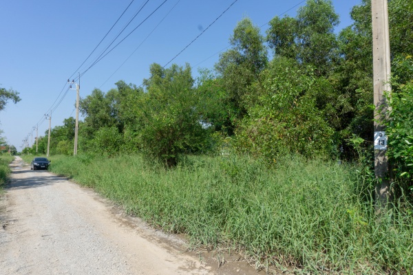 ขาย ที่ดินเปล่า 120 ตร.วา อำเภอไทรน้อย บนถนนเส้น 346 เหมาะสร้างบ้าน