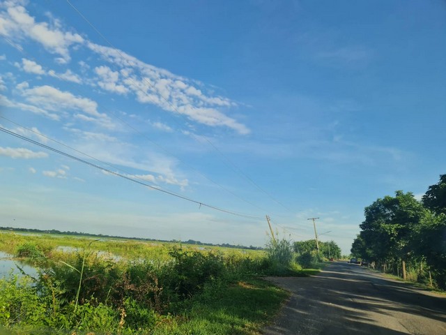 โปรจุกจุกรับกลางปีงูใหญ่ 2567   ขาย ที่ดิน  ติดถนนคอนกรีต มหาราช อยุธยา