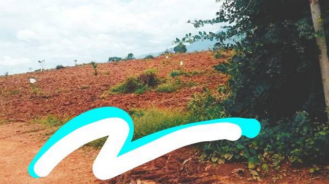 โปรจุกจุกรับกลางปีงูใหญ่ 2567   ขาย ธรรมชาติเนินเขา ที่ดินโฉนดแบ่งขาย สวยๆ ท่ามกลางธรรมชาติหล่มเก่า ดินดีทำเกษตรงาม  ที่ดินดีสมบูรณ์ หล่มเก่า เพชรบูรณ์ ใกล้ภูทับเบิก โทร 0968821857