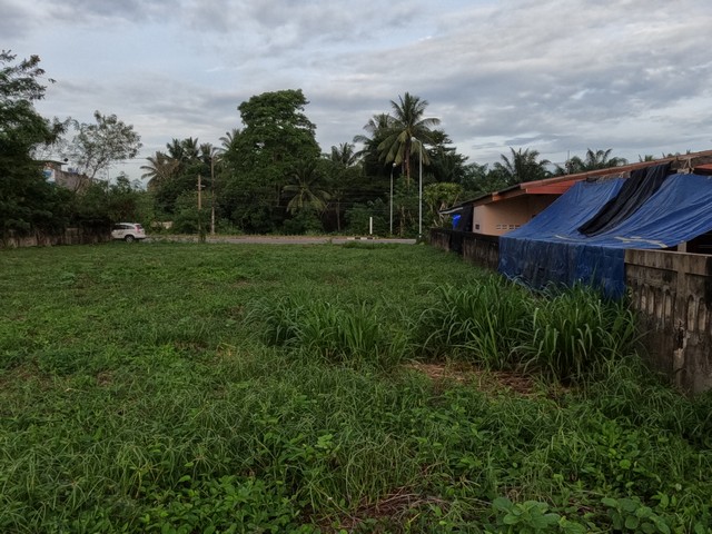 โปรจุกจุกรับกลางปีงูใหญ่ 2567  ขายที่ดินริมหาดสะพลีทรายขาวน้ำใสคราม สวยงามวิวทะเลธรรมชาติสุดสุด ปะทิวใกล้หาดสวยทุ่งวัวแล่น  