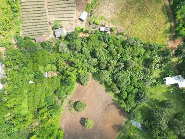 ขายด่วน 4.5​ ล.เท่านั้น​ 2-1-54 ตรว.​ สะเมิง​ สะเมิงเหนือ ที่ดินวิวสวยอากาศดี​​ ติดถนนสาธารณะ เหมาะสร้างบ้านพักตากอากาศ บรรยากาศเย็นสบาย