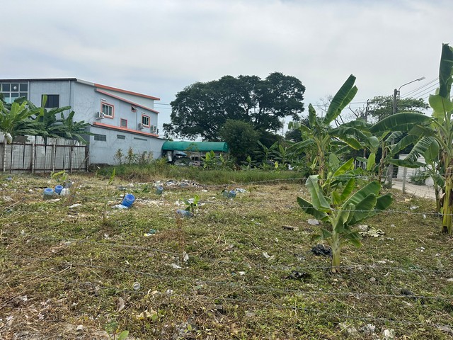 ขายที่ดินเปล่า 233 ตารางวา ซอยกรุงเทพกรีฑา 8แยก4    ZT406 