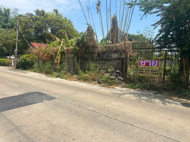 ขายที่ดินเปล่า 286 ตรารางวา  ซอยพหลโยธิน64   ก.ม.27  ตรงข้ามโรงเรียนไกรลาสศึกษา  ลำลูกกา  ปทุมธานี  ZT403 
