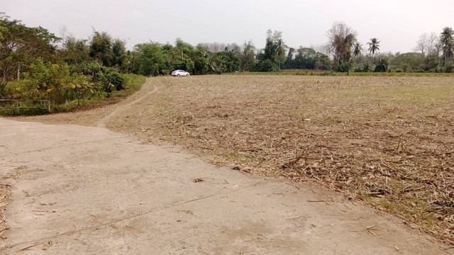 ขายที่ดินเปล่า ติดถนนลาดยาง สวยมาก ต.บ้านหนุน อ.สอง จ.แพร่