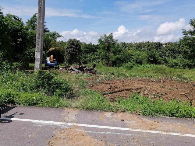 ขายที่ดินเปล่า ติดถนนลาดยาง 2-2-74 ไร่ ต.เตาปูน อ.สอง จ. แพร่