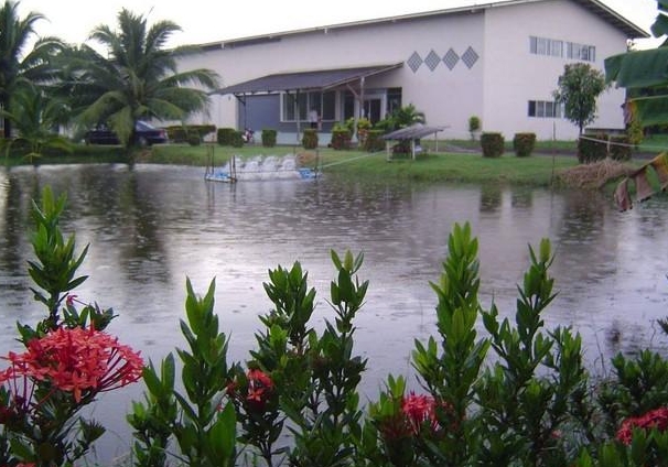 ให้เช่าและขาย ที่ดินพร้อม โรงงานผลิตอาหารกระป๋อง 13 ไร่  อำเภอพนัสนิคม ชลบุรี