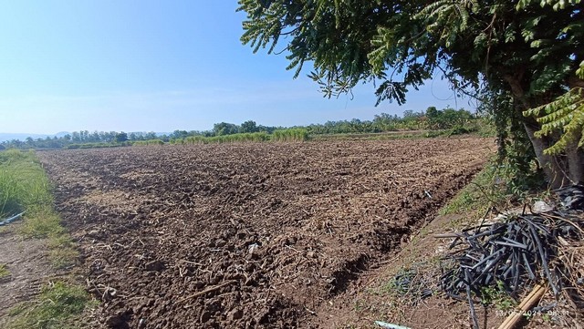 ขายด่วนที่ดินสวย 5-3-02 ไร่ ติดถนนใหญ่ ต.นาป่า  อ.เมือง เพชรบูรณ์   ZT415 