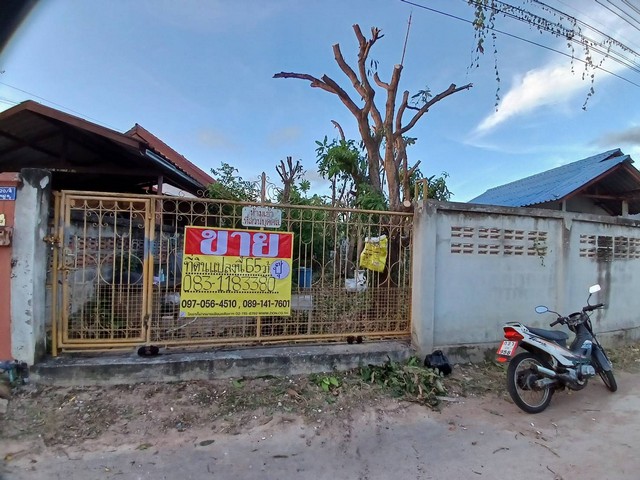 ขายด่วน ที่ดิน 65 ตรว.  แหล่งชุมชนใกล้ ถ.สุขุมวิท   ซอยลุงโพธิ์   อ.สัตหีบ  จ.ชลบุรี   ZJ115