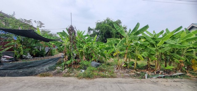 ขายที่ดินพุทธบูชา 22/4 เนื้อที่ 128 ตร.ว.ถมแล้ว บางมด จอมทอง กรุงเทพฯ 