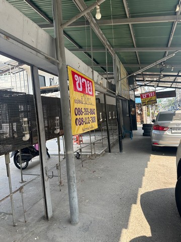 ขายที่ดินเปล่า ติดถนนสามัคคี 45 เนื้อที่ 170 ตารางวา  เมืองนนทบุรี  ZT408 