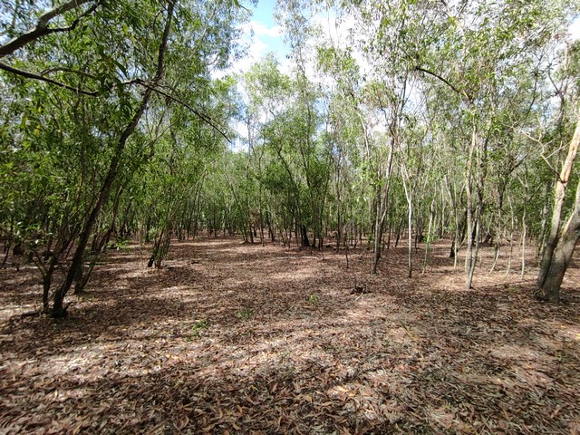 ขายที่ดินเปล่าทำบ้านสวนเกษตร ใกล้กรุงเทพ ม.คันทรี่การ์เด้น คลองสาม ปทุมธานี 2-2-70 ไร่