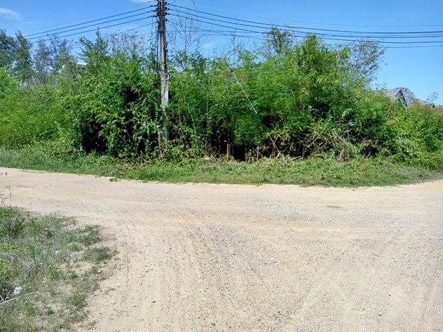 ขาย ที่ดิน ต.ปึกเตียน อ.ท่ายาง จ.เพชรบุรี    PAPC2_0009 C004